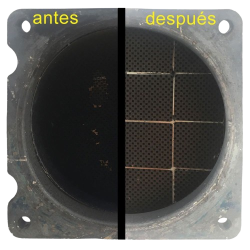fap-antes-despues_sin-fondo-removebg-preview.png